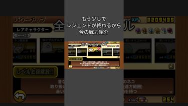 戦力紹介だよ！