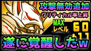 超本能実装でパラディンがぶっ壊れて覚醒しました！　にゃんこ大戦争