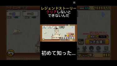 まじか…#にゃんこ大戦争 #にゃんこ大戦争初心者 #にゃんこ大戦争攻略 #にゃんこ大戦争ネタ #thebattlecats