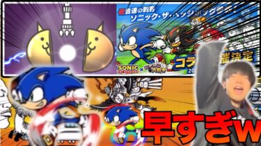 【全キャラ最速は猫じゃなくてハリネズミ！？！？！？】ソニックコラボキタァァぁぁぁぁぁぁぁ50連+出たキャラ使っていくぞおおおお！！！！早すぎるだろ！！【にゃんこ大戦争】