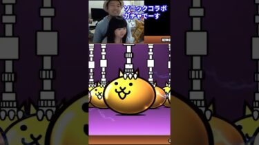 笑ったら、ガチャ引きます！ソニックコラボガチャ【にゃんこ大戦争】2025年5月 生配信822