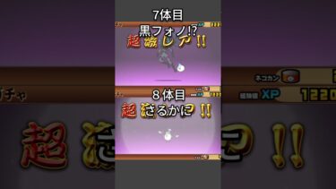 【パート2】超極ネコ祭引くよ！神引き！