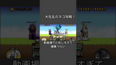 大狂乱のネコ攻略！