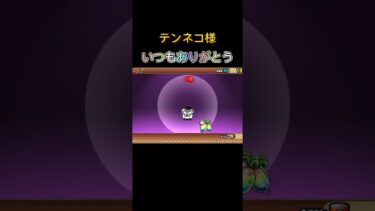 強いか分からんけど第三形態#にゃんこ大戦争 #にゃんこ大戦争攻略 #にゃんこ大戦争初心者