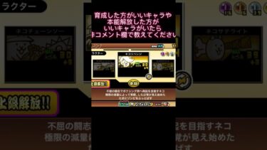 キャラクター紹介レアキャラ編！！！！ #にゃんこ大戦争
