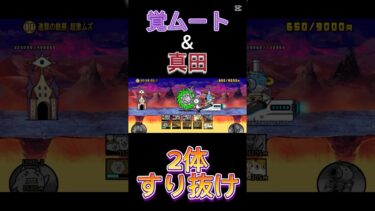 覚ムート&真田2体すり抜け#にゃんこ大戦争 #にゃんこ大戦争初心者 #thebattlecats #すり抜け