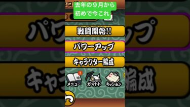 僕は初心者？中級者？上級者？どれ#にゃんこ大戦争