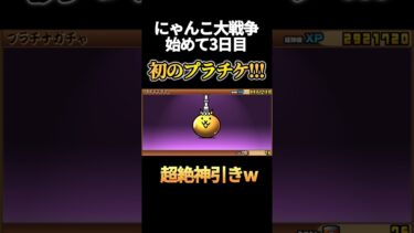 【初投稿】あのネコ祭限定キャラが…wこれからが楽しみすぎる！#にゃんこ大戦争#神引き#初心者#初投稿
