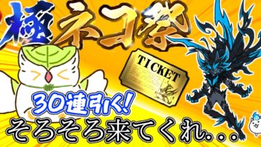 【極ネコ祭】黒フォノウを狙う現役高校生の配信を見守りください。