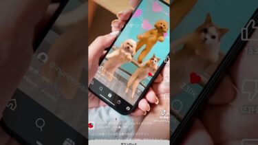 ナルトダンスですよね？