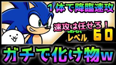 ソニックが化け物過ぎて１体で降臨ステージ速攻wにゃんこ大戦争