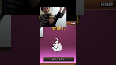 ネコカンカンに進化‼【にゃんこ大戦争】ゲームプレイ生配信135の切り抜き