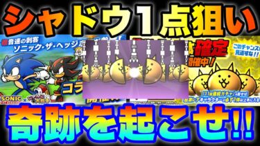 ソニックガチャ超激レア確定をブン回してみた結果　#にゃんこ大戦争　#battlecats