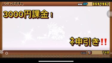 にゃんこ大戦争課金ニキ3000円課金したらまさかの…