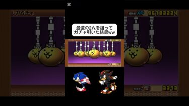 【にゃんこ大戦争】最速の2人を狙ってソニックガチャ引いたら神引きしたったwww #にゃんこ大戦争 #無課金勢