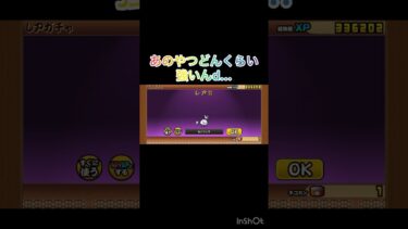 超ネコ祭10連引いてくぞー！！#にゃんこ #にゃんこ大戦争初心者 #にゃんこ大戦争