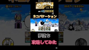ネコバケーション進化出来たーー‼️#にゃんこ大戦争 #にゃんこ大戦争初心者 #にゃんこ大戦争攻略 #thebattlecats