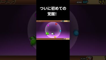 ［にゃんこ大戦争］ついに初めての覚醒！#にゃんこ大戦争 #にゃんこ #覚醒 #カメラマン#初心者 #初心者プレイ