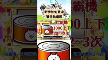 【貓咪大戰爭】新手如何最速獲得貓罐頭 #貓咪大戰爭 #にゃんこ大戦争 #貓罐頭 #10週年