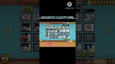 ソニックコラボガチャに確定が来たので最速キャラ狙って11連引く【にゃんこ大戦争】