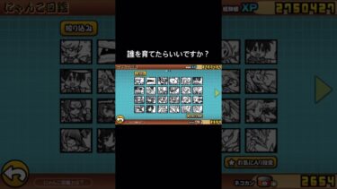 アドバイスお願いします！　#にゃんこ大戦争 #にゃんこ大戦争キャラ #にゃんこ大戦争初心者#スマホゲーム #ソシャゲ