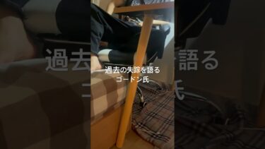 過去の失踪を語るゴードン氏 #ゲーム実況者 #にゃんこ大戦争 #ゲーム #歌舞伎町シネシティ広場 #ダダサバイバー #落ち込む #ダダサバ #ゲーム実況 #悪化