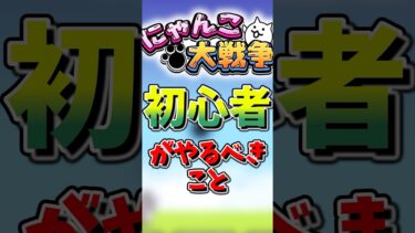 【にゃんこ大戦争】初心者がやるべきこと3選！#にゃんこ大戦争#ゆっくり#初心者