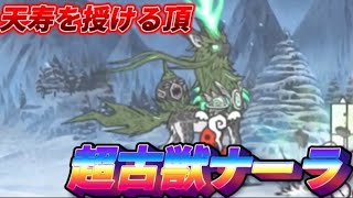 ナーラに会い行けたら良い配信