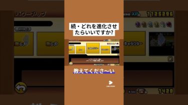 レアキャラですみません、、見てもらえると嬉しいです。 #にゃんこ大戦争 #ゲーム