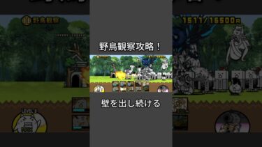 野鳥観察攻略！ダチョウ強い…