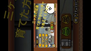 三ヶ月の成果育てた方がいいキャラ教えてください #music #ピアノ #bgm #作曲 #にゃんこ #にゃんこ大戦争 #ネコムート #ゲーム #にゃんたチャンネル #にゃんこ大戦争初心者