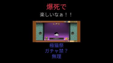 ガチャ禁なんてできないので引きます #にゃんこ大戦争#ガチャ #ゲーム#ヒカキン#極猫祭#shorts