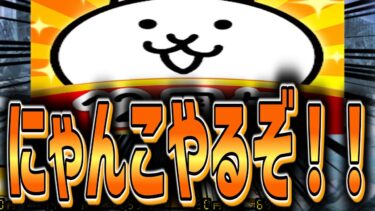にゃんこやってマイクラやってシャドバを少し