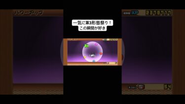 【にゃんこ大戦争】￤頑張ってマタタビ回収したおれ偉い👏￤#にゃんこ大戦争 #にゃんこ大戦争初心者 #初心者 #game #shorts #fyp