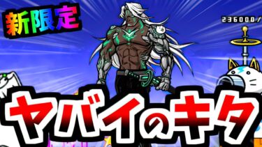 え、この強そうな新キャラガチで誰！？！？　【にゃんこ大戦争】(BCKR, BCTW限定)