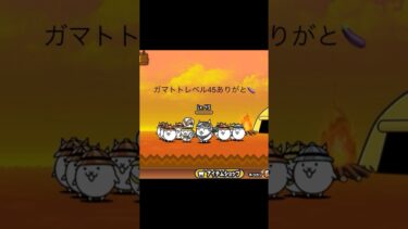 ガマトトレベル45ありがと🍆#初心者#にゃんこ大戦争#野獣先輩#つまらない#ネタ