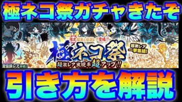 極ネコ祭ガチャ登場！引き方を解説（※キャラの詳細は概要にあります）　#にゃんこ大戦争　#battlecats