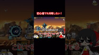 初めて1ヶ月と少しの初心者でも攻略したい！　　　　　　　#にゃんこ大戦争  #ゲーム　#にゃんこ大戦争初心者  #にゃんこ大戦争 攻略　#ぱぴと