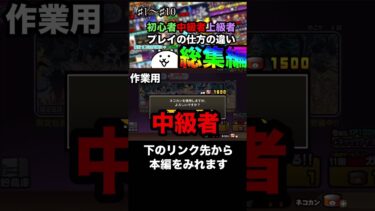 にゃんこ大戦争初心者中級者上級者プレイの仕方の違い総集編！ #にゃんこ12周年 #にゃんこ大戦争 #上級者 #ゲーム #初心者 #ゲーム実況 #中級者 #実況