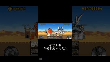 久しぶりだー#にゃんこ #にゃんこ大戦争
