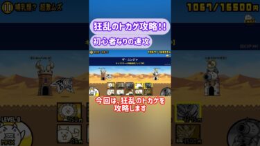 【にゃんこ大戦争】 狂乱のトカゲ速攻攻略！ 【初心者】#ゆっくり実況