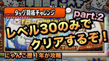【タッグ闘技チャレンジ】あのキャラで全てを破壊せよ！？レベル30のみでクリアするぞ！Part.2［にゃんこ大戦争］