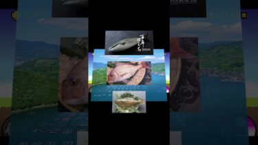 にゃんこ大戦争　レアガチャなしで最初から！（愛媛県）