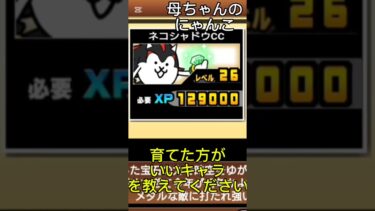 母ちゃんが育てた方がいいキャラ教えてくださいって言ってた気がする #にゃんこ大戦争 ＃にゃんこ大戦争初心者