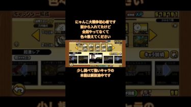 にゃんこ大戦争初心者#にゃんこ大戦争