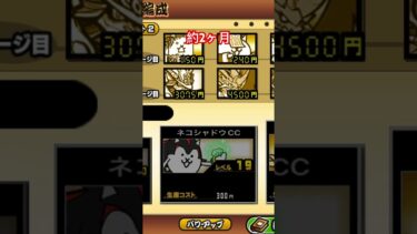 にゃんこ初心者の編成とステージの進み具合い#にゃんこ大戦争 #にゃんこ #のびろ ＃初心者