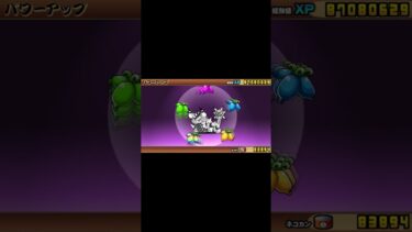 ソドムを進化！ 1