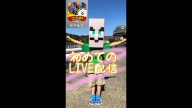 【にゃんこ大戦争】はじめての配信