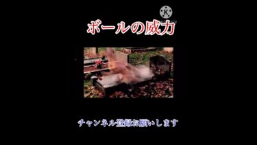 アホみたいな動画#久しぶり #爆発 #にゃんこ大戦争 #ゲーム実況 #bgm