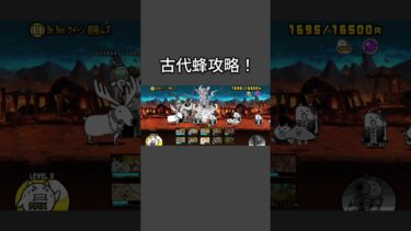 古王妃飛来攻略！